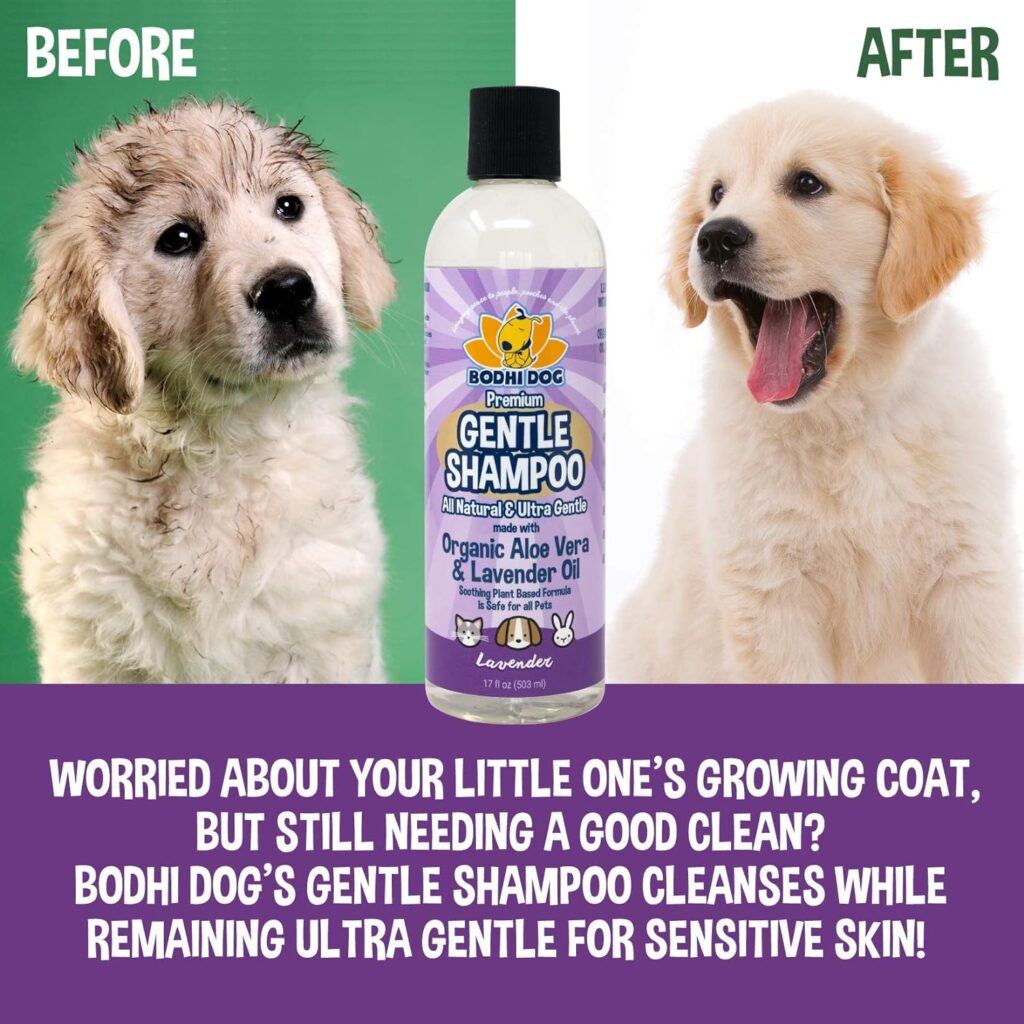 Bodhi Dog Premium Gentle Shampoo | Soothing  Ultra Gentle Puppy Shampoo | Aloe Vera and Lavender Oil | Natural Moisturizing Pet Wash for Puppies, Dogs and Cats (17 Fl Oz)