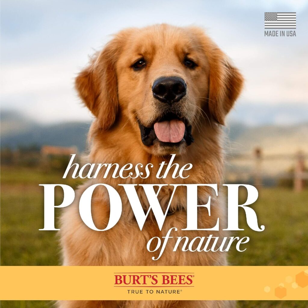 BURTS BEES FOR PETS Natural Hypoallergenic Shampoo with Shea Butter and Honey for All Dogs and Puppies with Dry or Sensitive Skin | Made in the USA | 16 Ounces