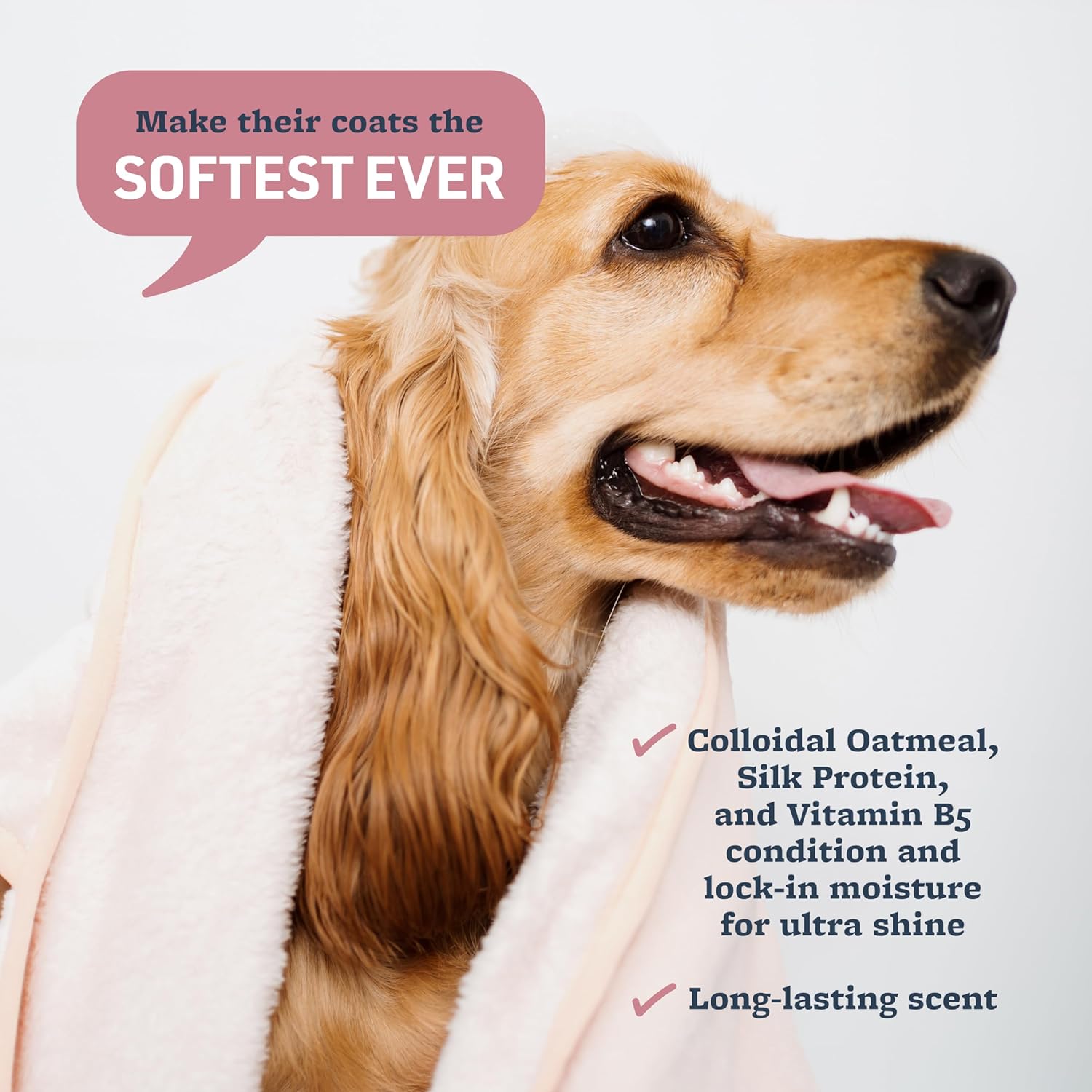 Comparing and Reviewing 5 Dog Shampoos